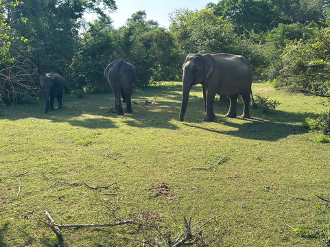 Sand Martin Tours-埃勒必去景点