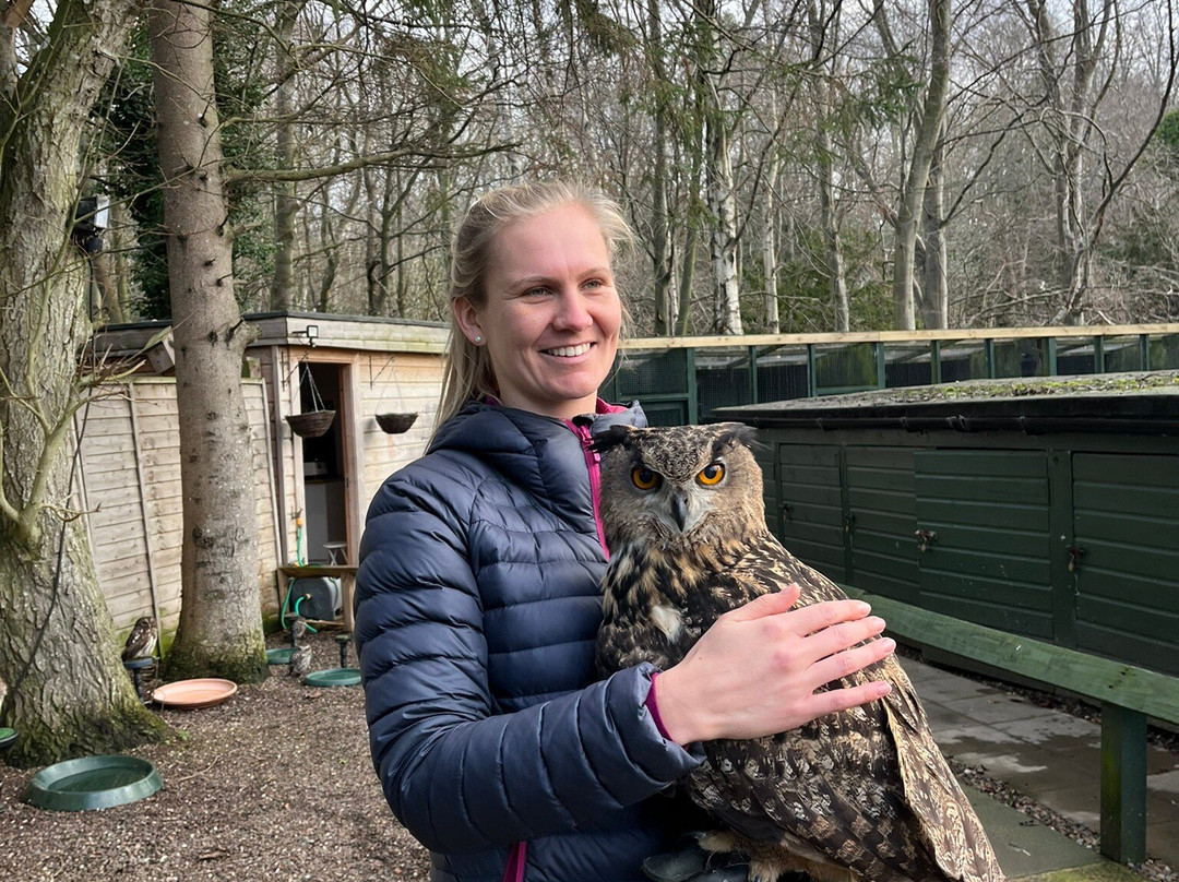 Dalhousie Castle Falconry-邦尼里格必去景点