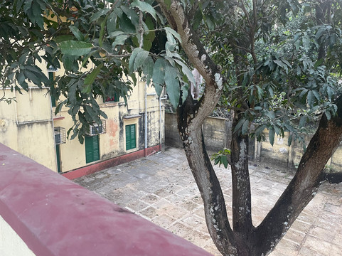 Heritage Home Stays, Amadpur