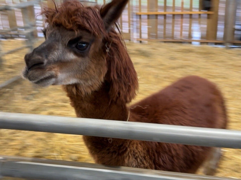 Wynford Farm Playbarn-Kingswells必去景点