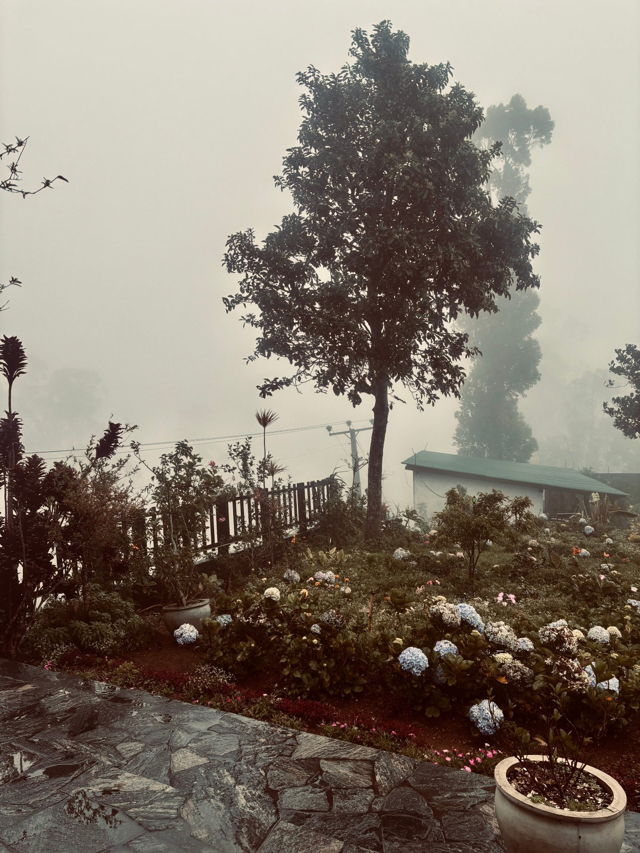 休闲山景假日酒店-官方