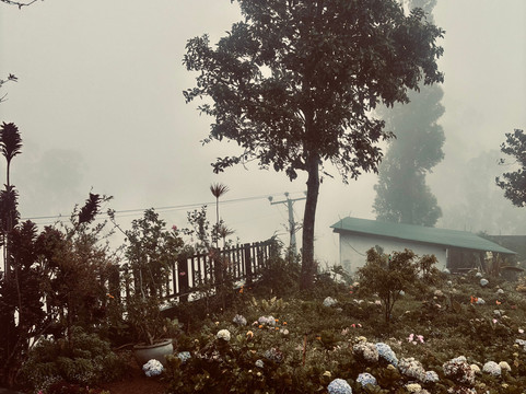 休闲山景假日酒店主图