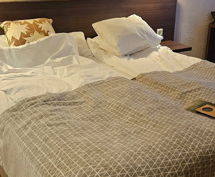 瑞典精英酒店主图