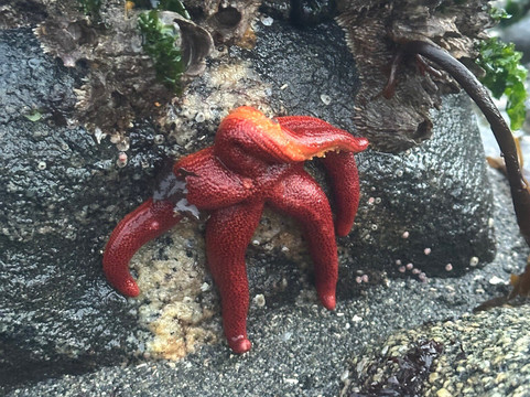 Outlook Park-Petersburg必去景点