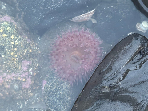 Outlook Park-Petersburg必去景点