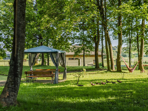 佛尔沃克德禾康布尼亚主图