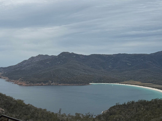 Wild Tasmania Tours-霍巴特必去景点