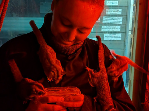 The Animal Experience-Stretham必去景点