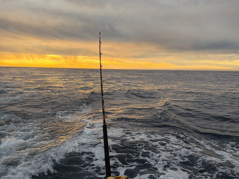 Blue Sky Cabo Fishing and Tours-卡波圣卢卡斯必去景点