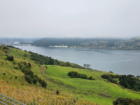 Rams Bottom Tours-但尼丁必去景点