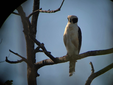 Hacienda El Roble & Adventure Center-圣塔克鲁斯必去景点
