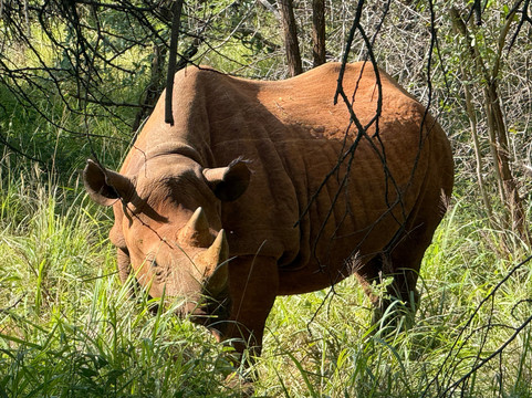 Momella African Adventure-阿鲁沙必去景点