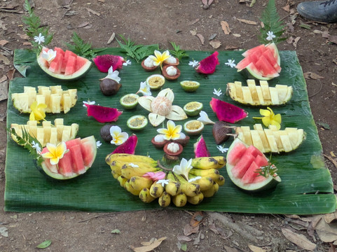 Sumatra Orangutan Explore-武吉拉旺必去景点