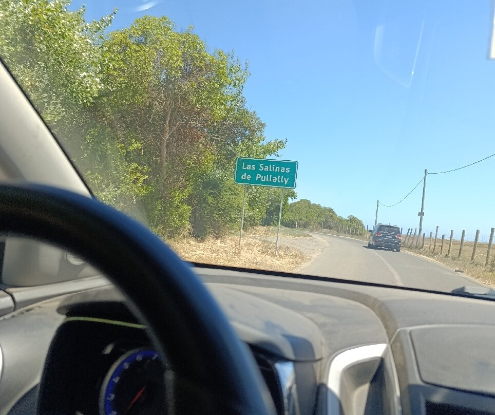 Salinas de Pullally-Papudo必去景点