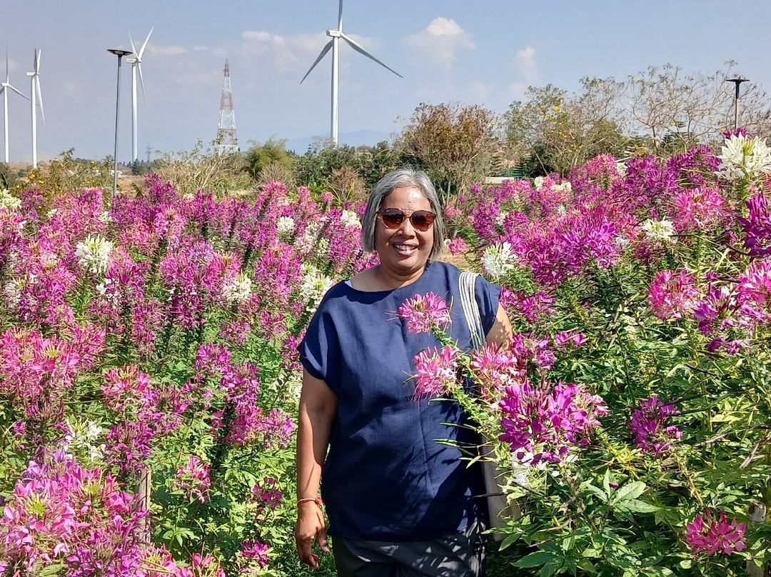 Khao Kho Wind Farm-考柯县必去景点