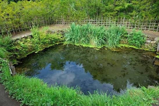 Chosi Pond-忍野村必去景点