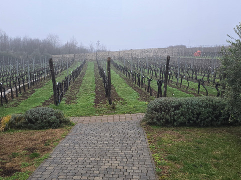 Kekovic Estate-Danilovgrad Municipality必去景点