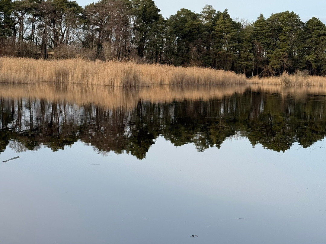 Englemere Pond-Ascot必去景点