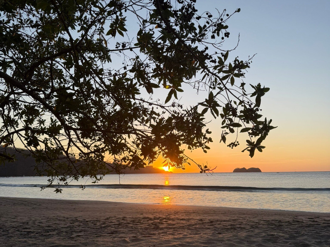Villas Acacia Beach & Garden Hotel主图