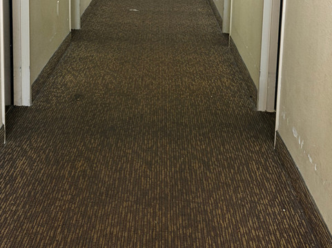 美国长住酒店 - 奥兰多 - 玛丽湖 - 1036格林伍德大道主图