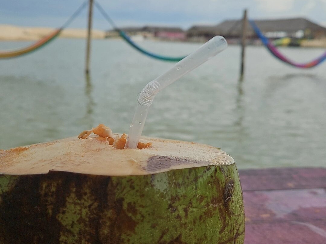 Daniel Passeios-杰里科科拉必去景点