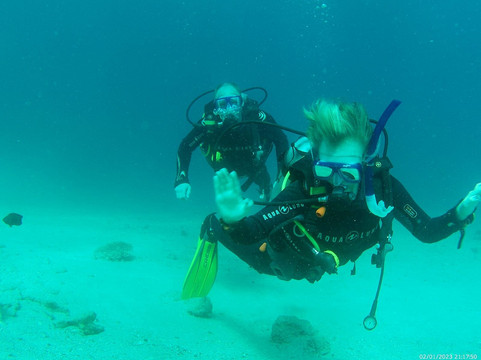 Diving El Flamenco-艾尔可西利亚必去景点
