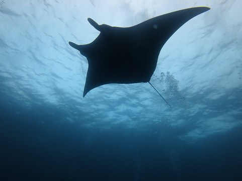 Legend Diving Lembongan-蓝梦岛必去景点