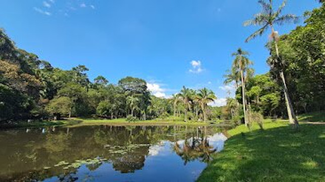 Jardim Botânico de São Paulo-圣保罗必去景点