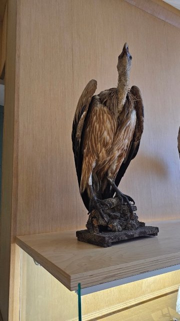 Antica Stazione di Ficuzza-官方