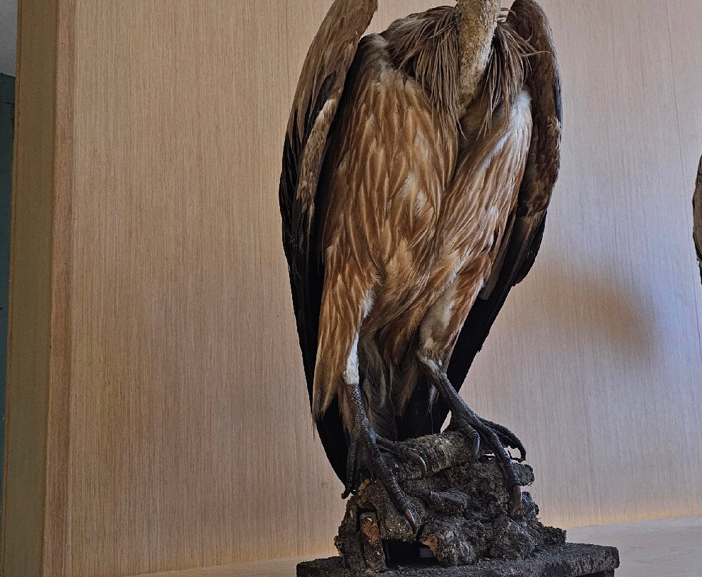 Real Casina di Caccia-Ficuzza必去景点