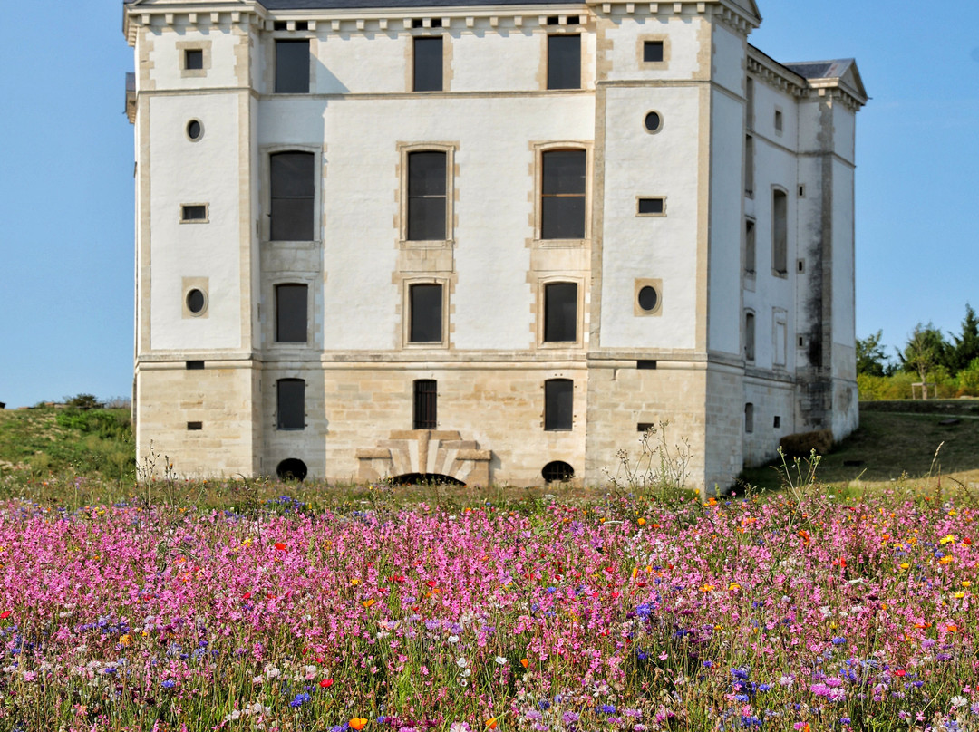 Chateau de Maulnes-Cruzy-le-Chatel必去景点