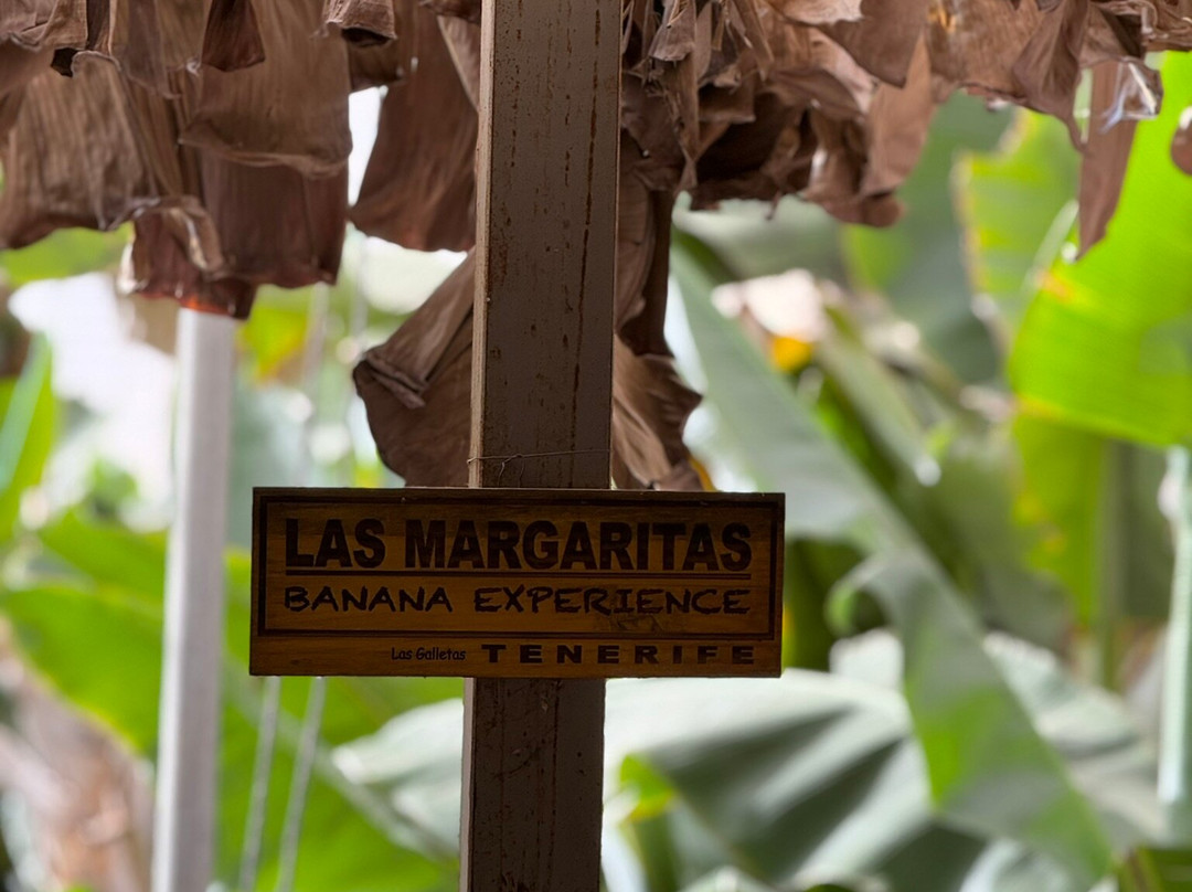 Finca Las Margaritas Banana Experience-拉斯加勒塔斯必去景点