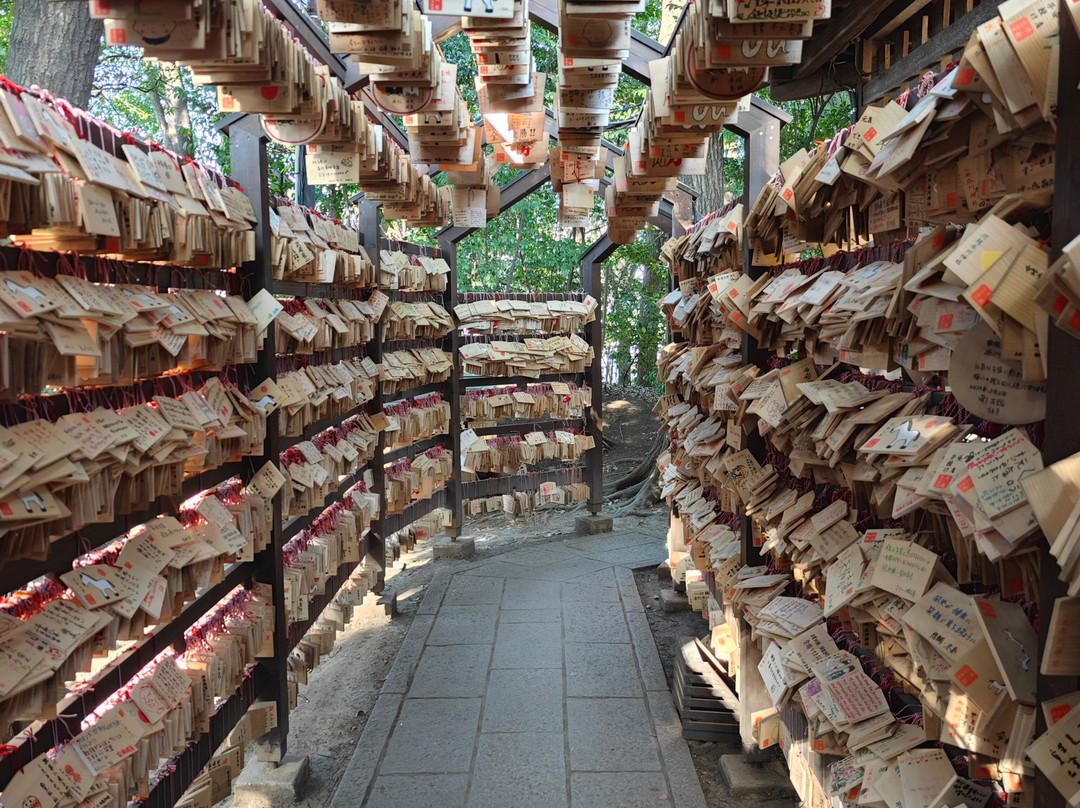 Kawagoe Hikawa Shrine-川越市必去景点