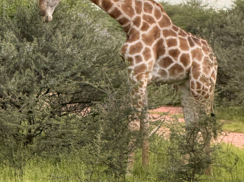 Nature Travel Namibia-温德和克必去景点