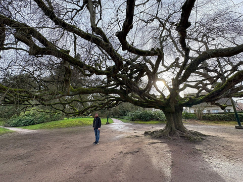 Jardin Public de Bayeux-巴约必去景点