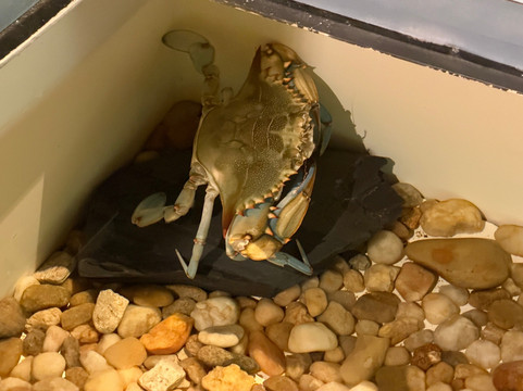 North Carolina Estuarium-Washington必去景点