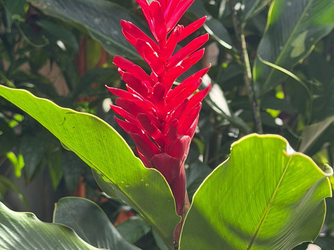 Eco Termales-克波斯必去景点