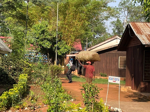 Salem Eco-Lodge & Guesthouse主图