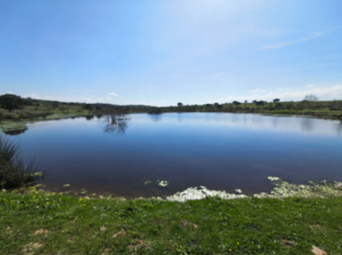 Gastro Dehesa-梅里达必去景点