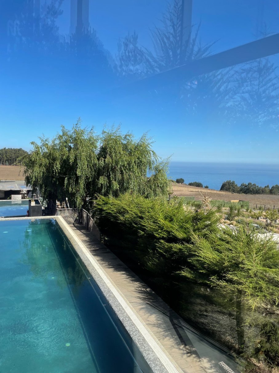 Taka Matanzas-官方