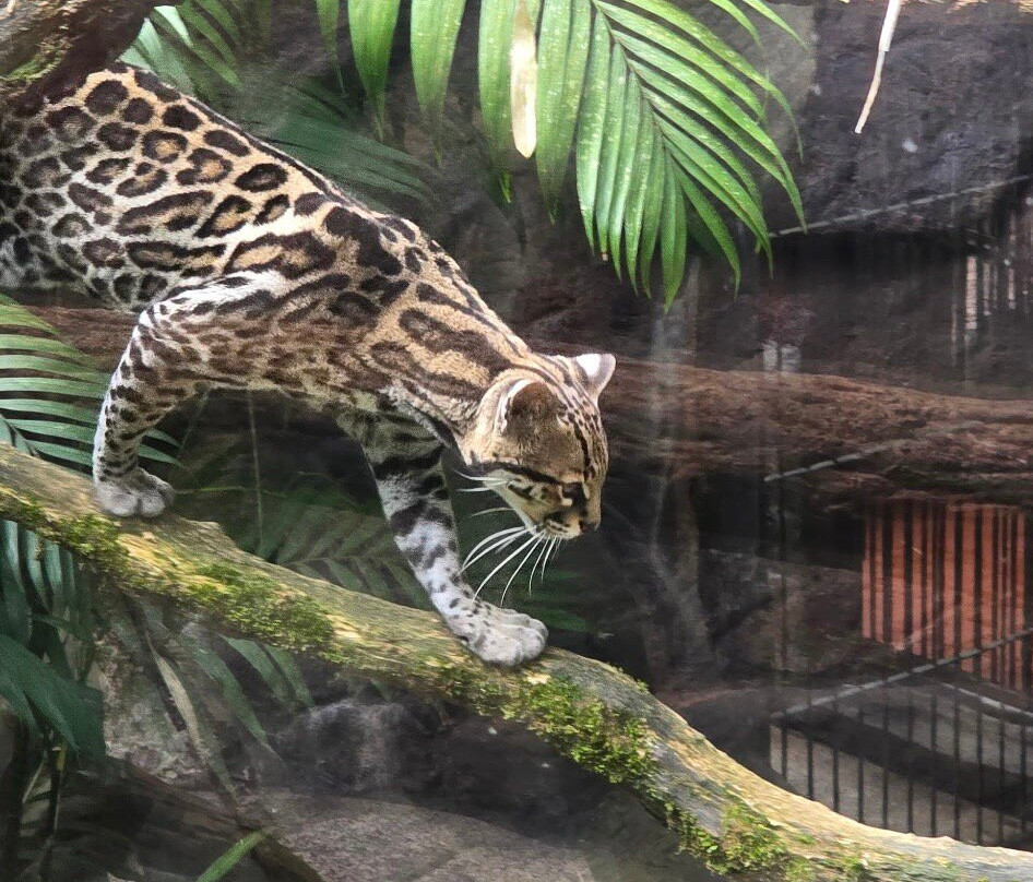 Greenway Nature Day Tours-利蒙港必去景点