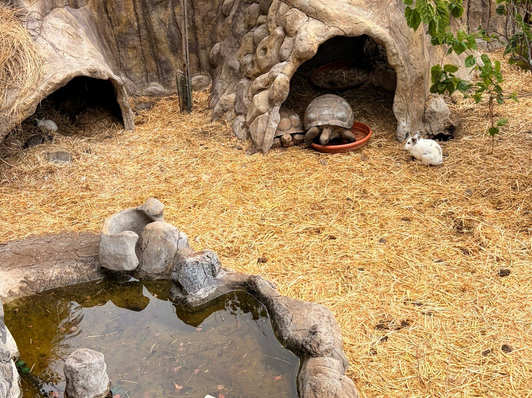 Maroparque Isla de La Palma-Brena Alta必去景点