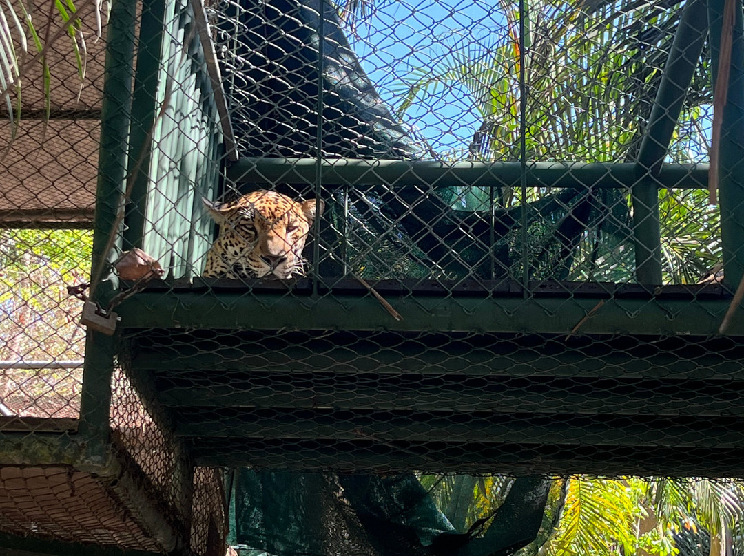 Natuwa Wildlife Santuary-彭塔雷纳斯必去景点