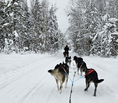 北极大酒店主图