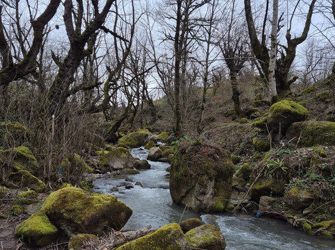 Hirkan National Park-阿斯塔拉必去景点