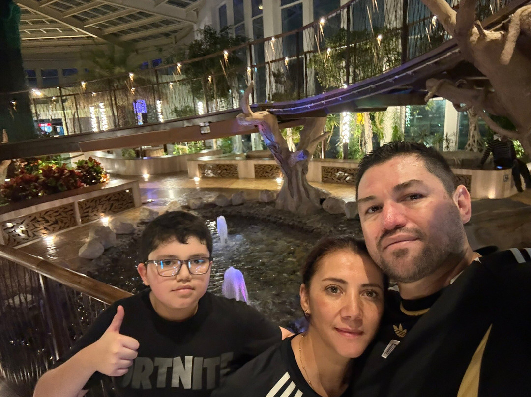 Quranic Park-迪拜必去景点