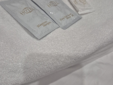 弗雷加特酒店主图