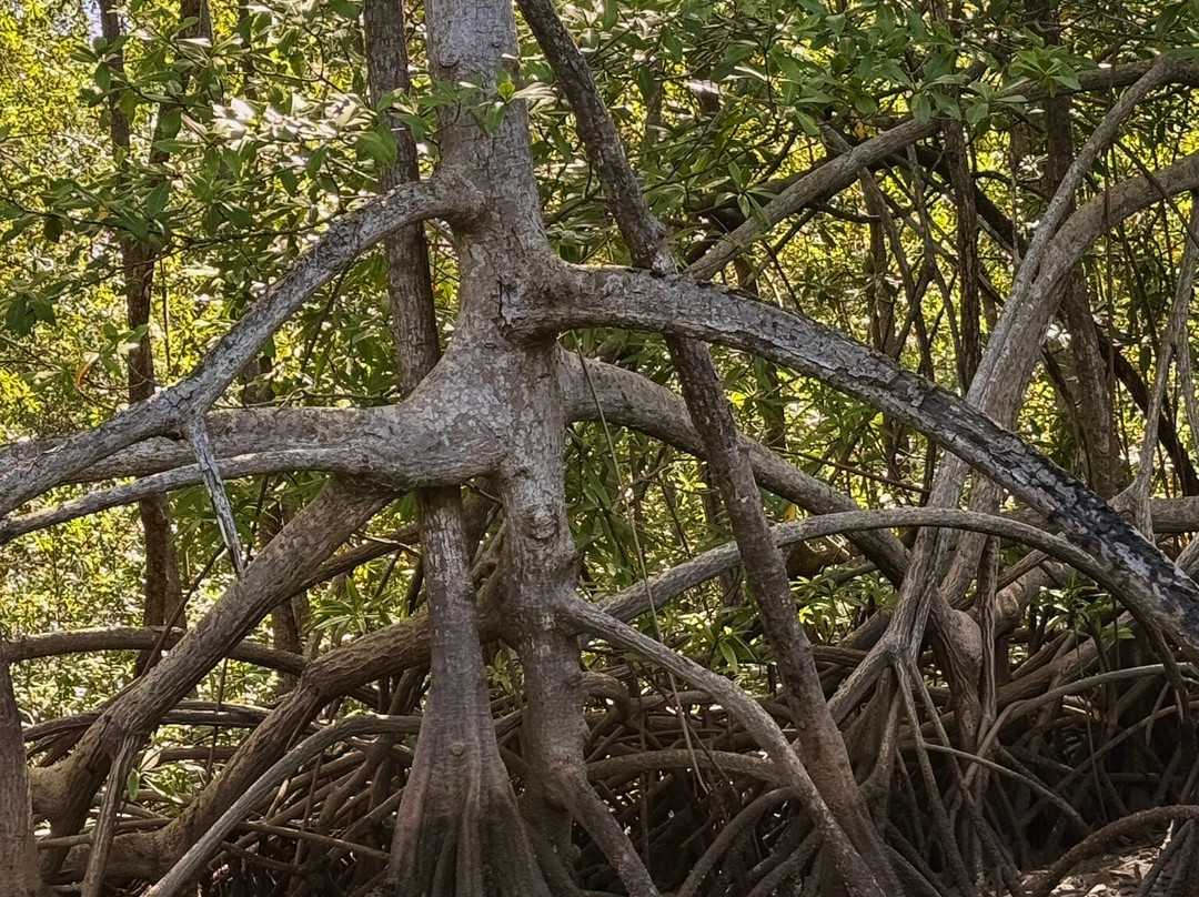 Epic Adventures Costa Rica-哥斯达黎加安东尼奥国家公园必去景点