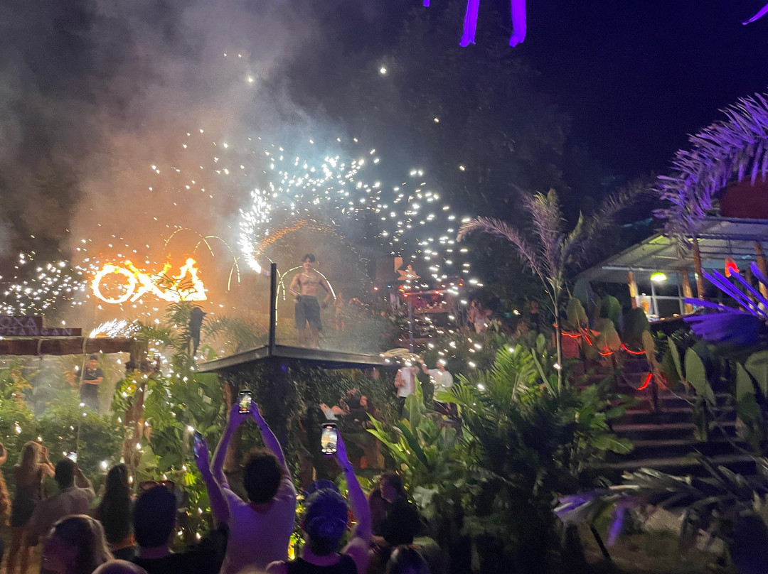 OXA - Jungle Party-Baan Tai必去景点