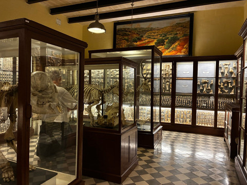 Ghar Dalam-Birzebbuga必去景点